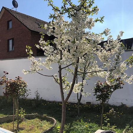 Apartmán Kleve-Kellen Kleve  Exteriér fotografie