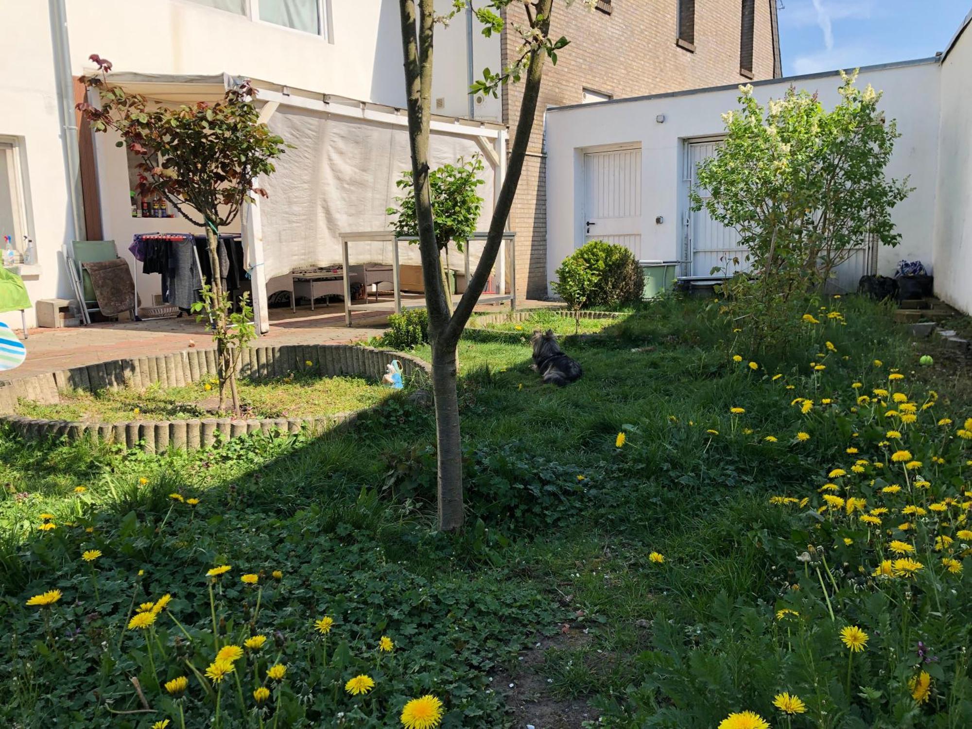 Apartmán Kleve-Kellen Kleve  Exteriér fotografie